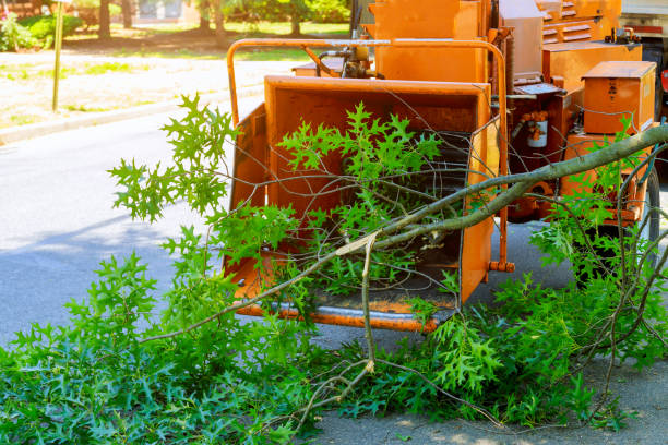 Lawn Irrigation Installation and Maintenance in Archer Lodge, NC